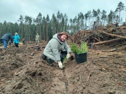«Дай лесу новае жыццё!»