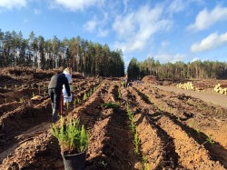 «Дай лесу новае жыццё!»