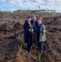 «Дай лесу новае жыццё!»