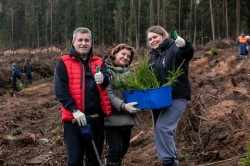 «Дай лесу новае жыццё!»
