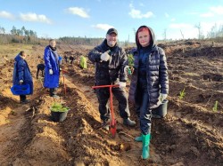 «Дай лесу новае жыццё!»