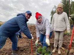 «Дай лесу новае жыццё!»